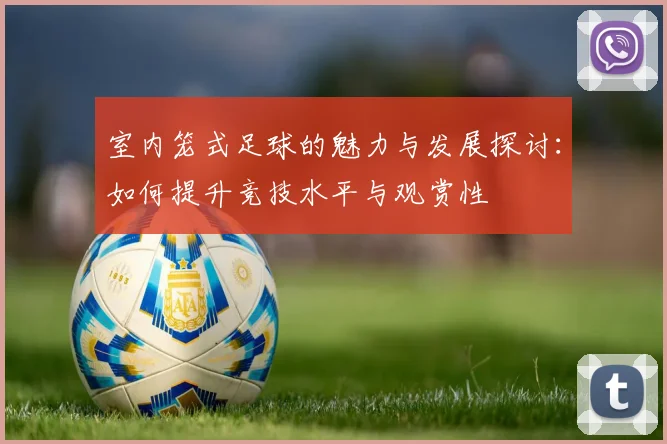 室内笼式足球的魅力与发展探讨：如何提升竞技水平与观赏性