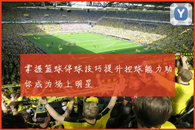 掌握篮球停球技巧提升控球能力助你成为场上明星