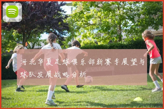 河北华夏足球俱乐部新赛季展望与球队发展战略分析